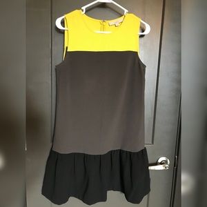 Ann Taylor Loft Color Block Ruffle Dress Size 4